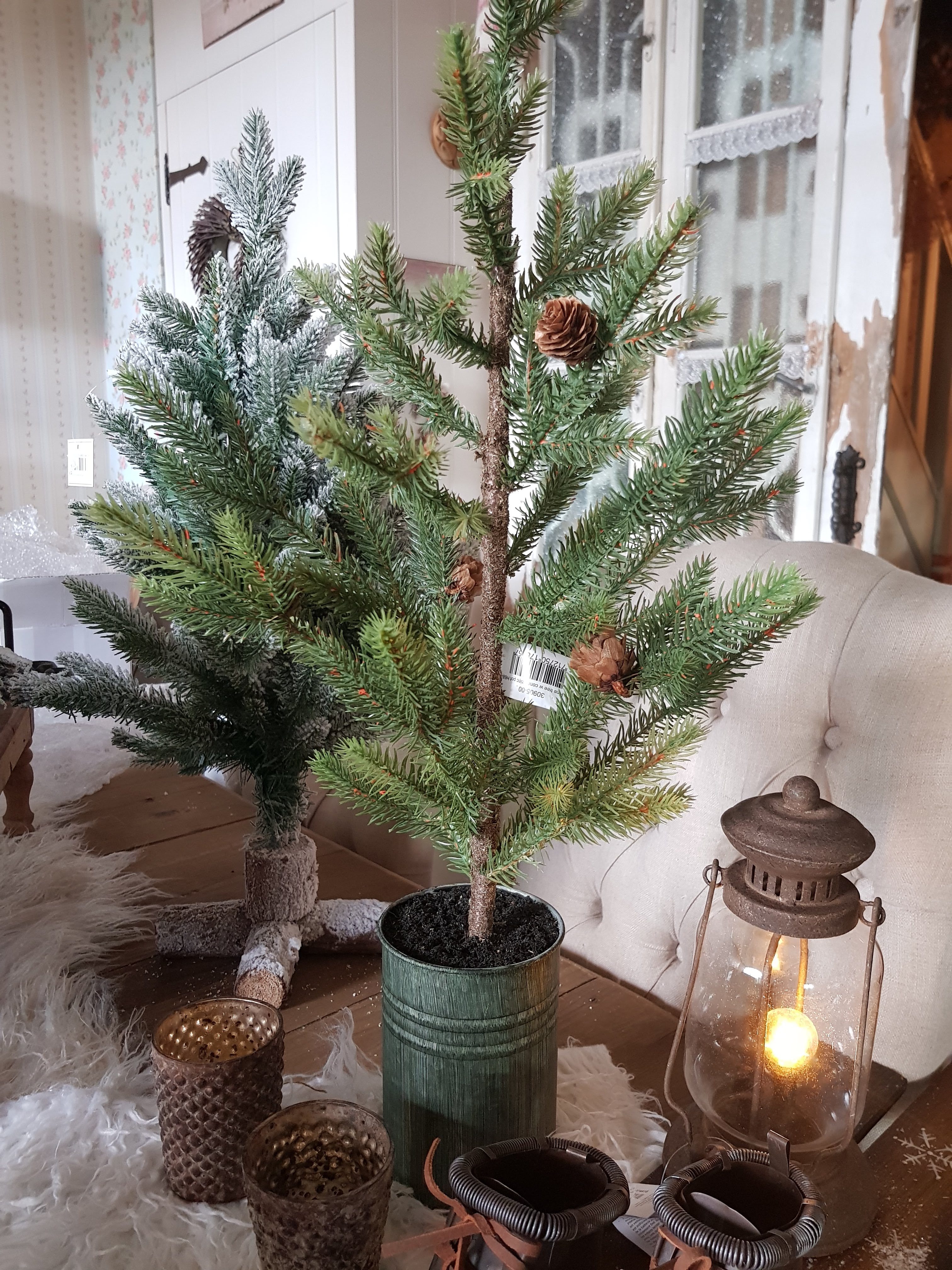 winnen Beven regionaal Kerstboom in zinken pot